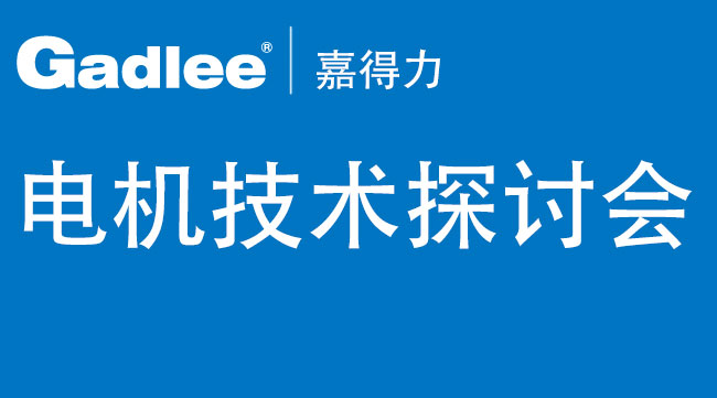 电动机制造商阿美德格到嘉得力总部进行电机技术探讨